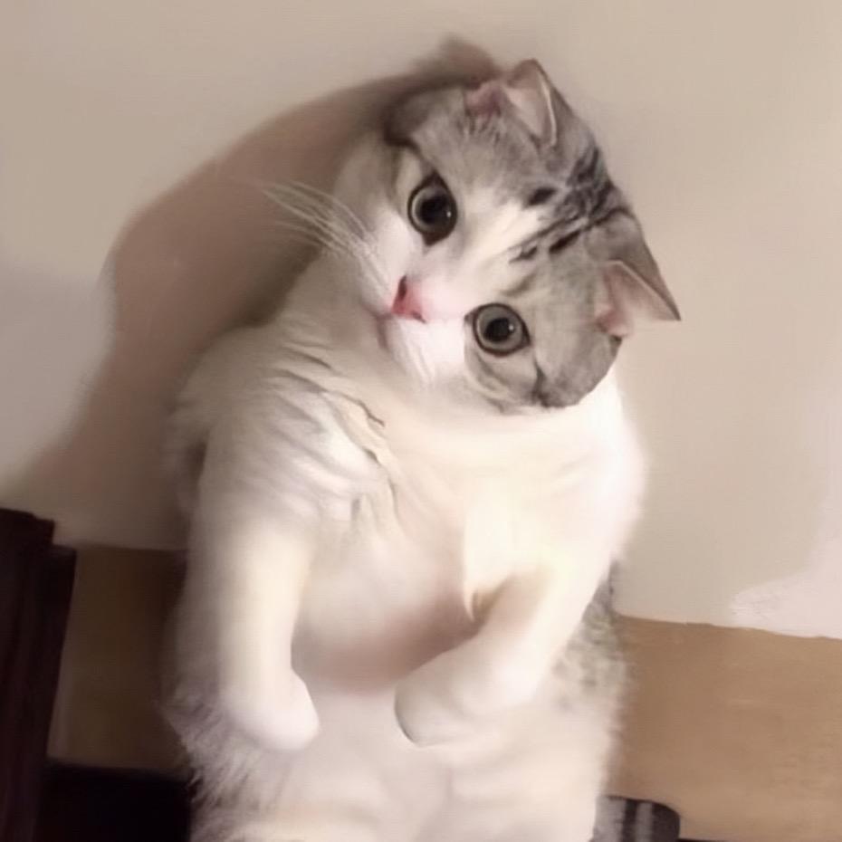 月子牙
