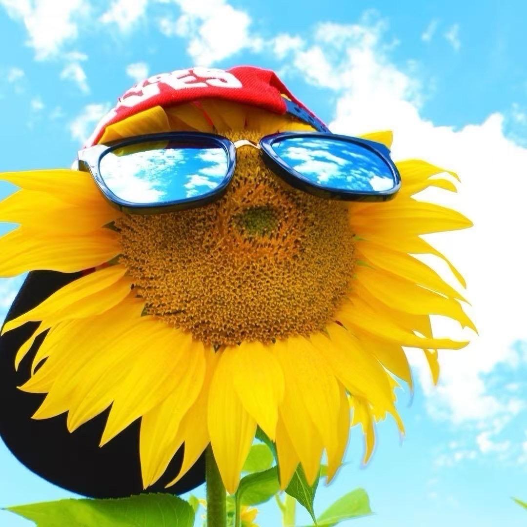 🫧ིྀ𝒹𝓊𝒹𝓊🌻 .💅🌸