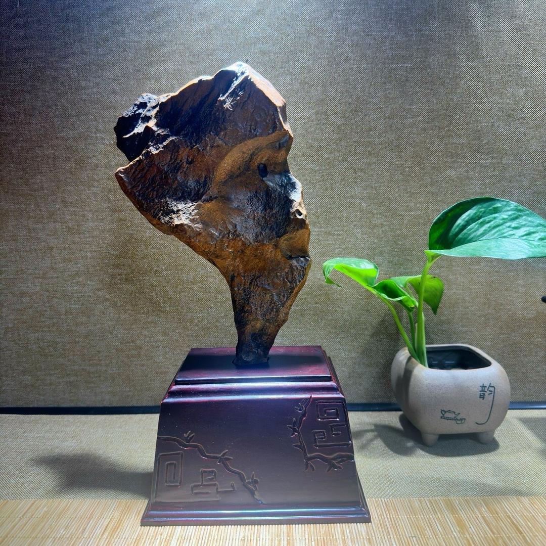 自然造物摆件坊