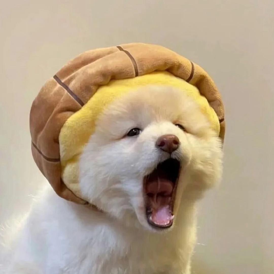 余缇泽