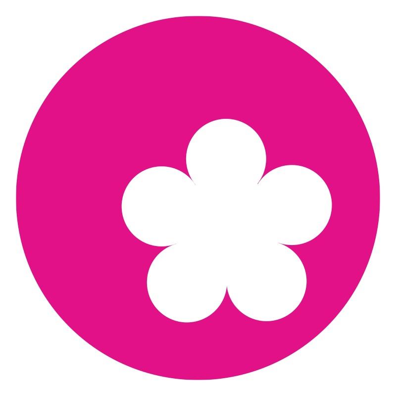 Kochblume