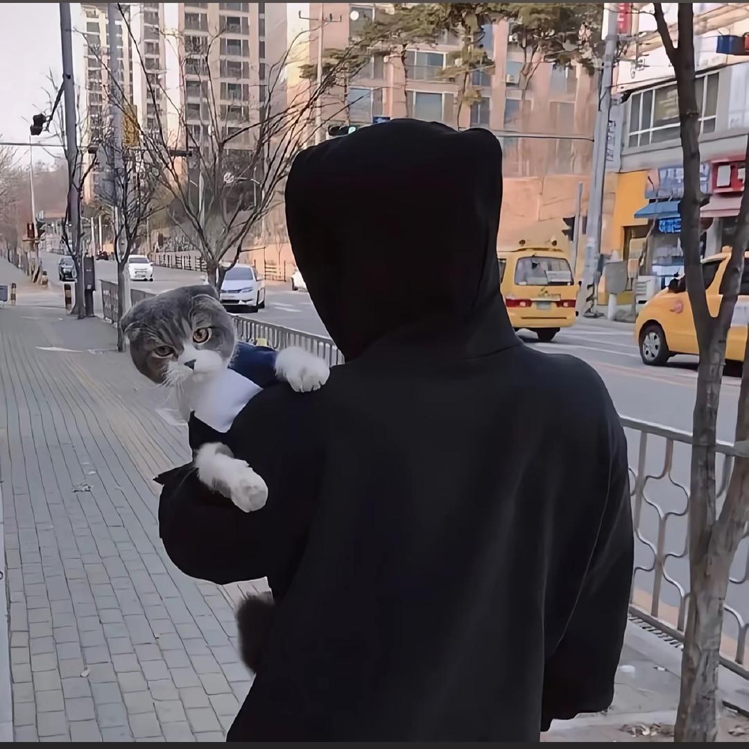 驸马.