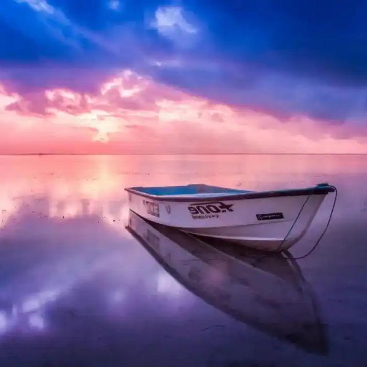 都柏林冬天的饺子🥟