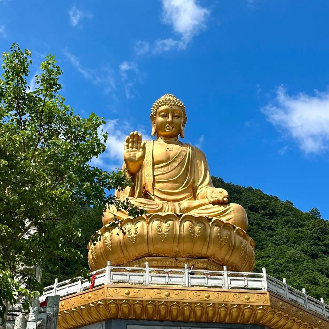 星陈大海🌊