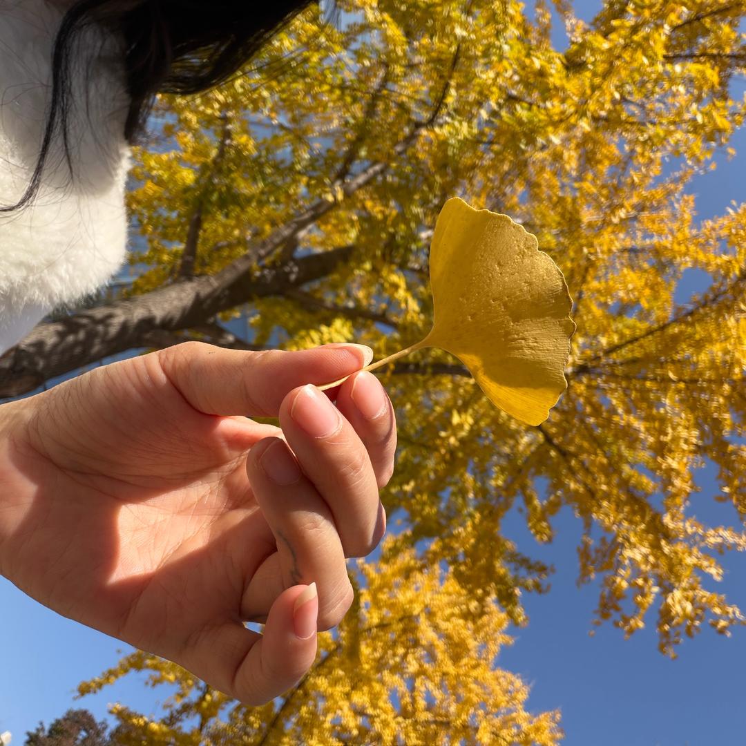 棋棋❤️心的开始
