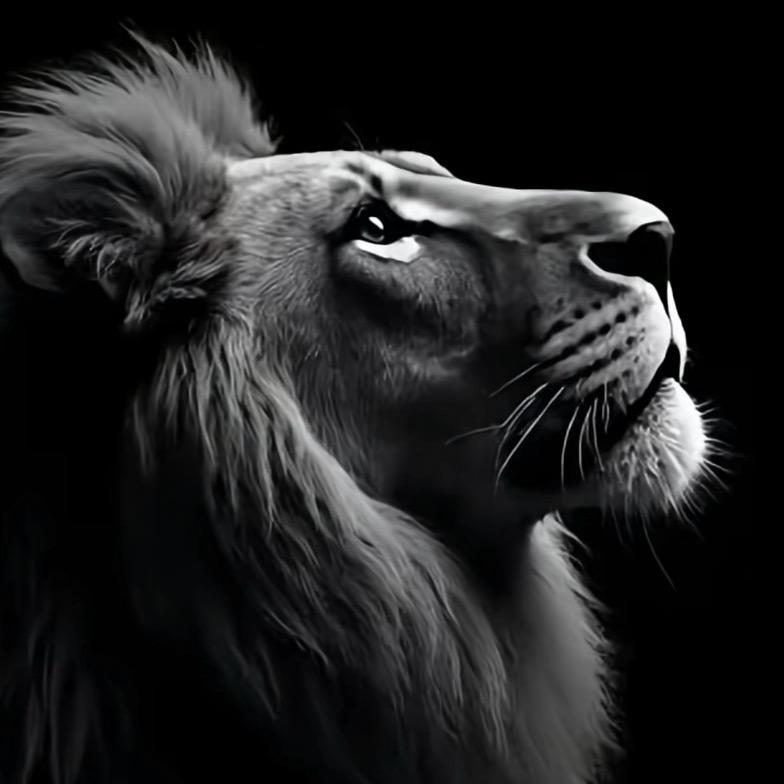 植物玩家^_^大叔