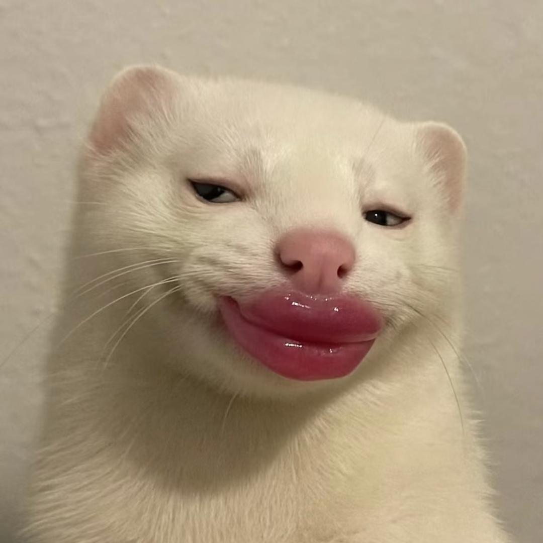 𝑵𝒊𝒂_