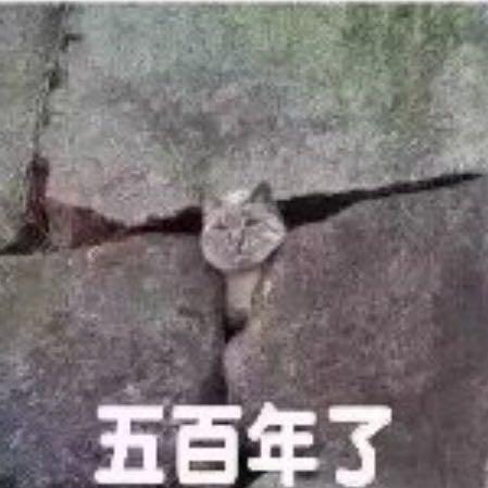 八盖