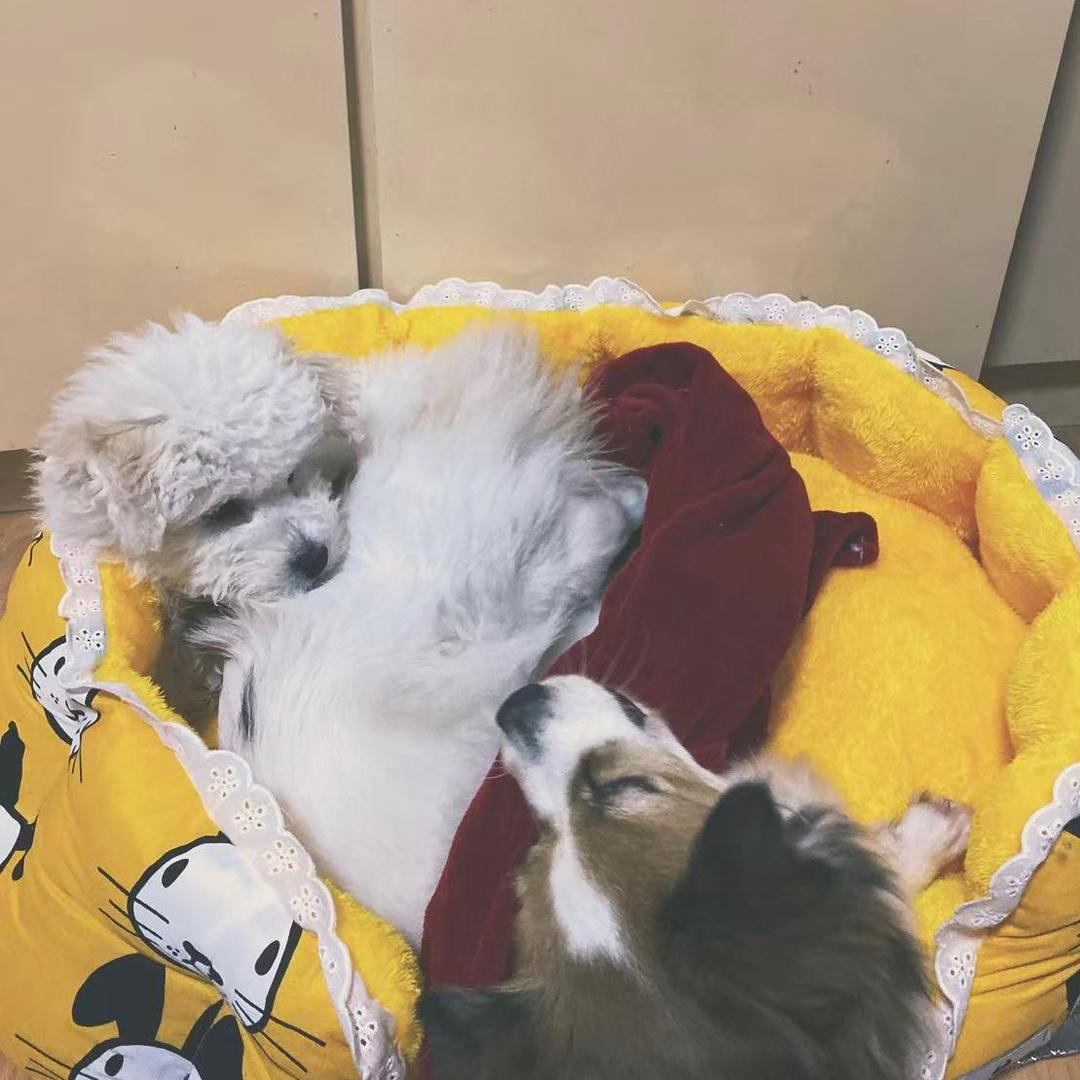 大饼才吃一口☝️