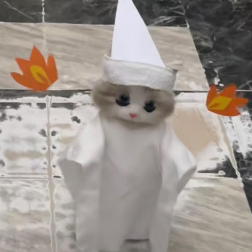 我的天·猫🦖