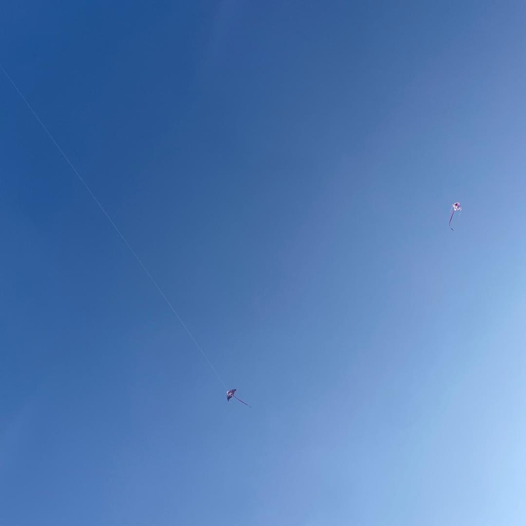 每天追星