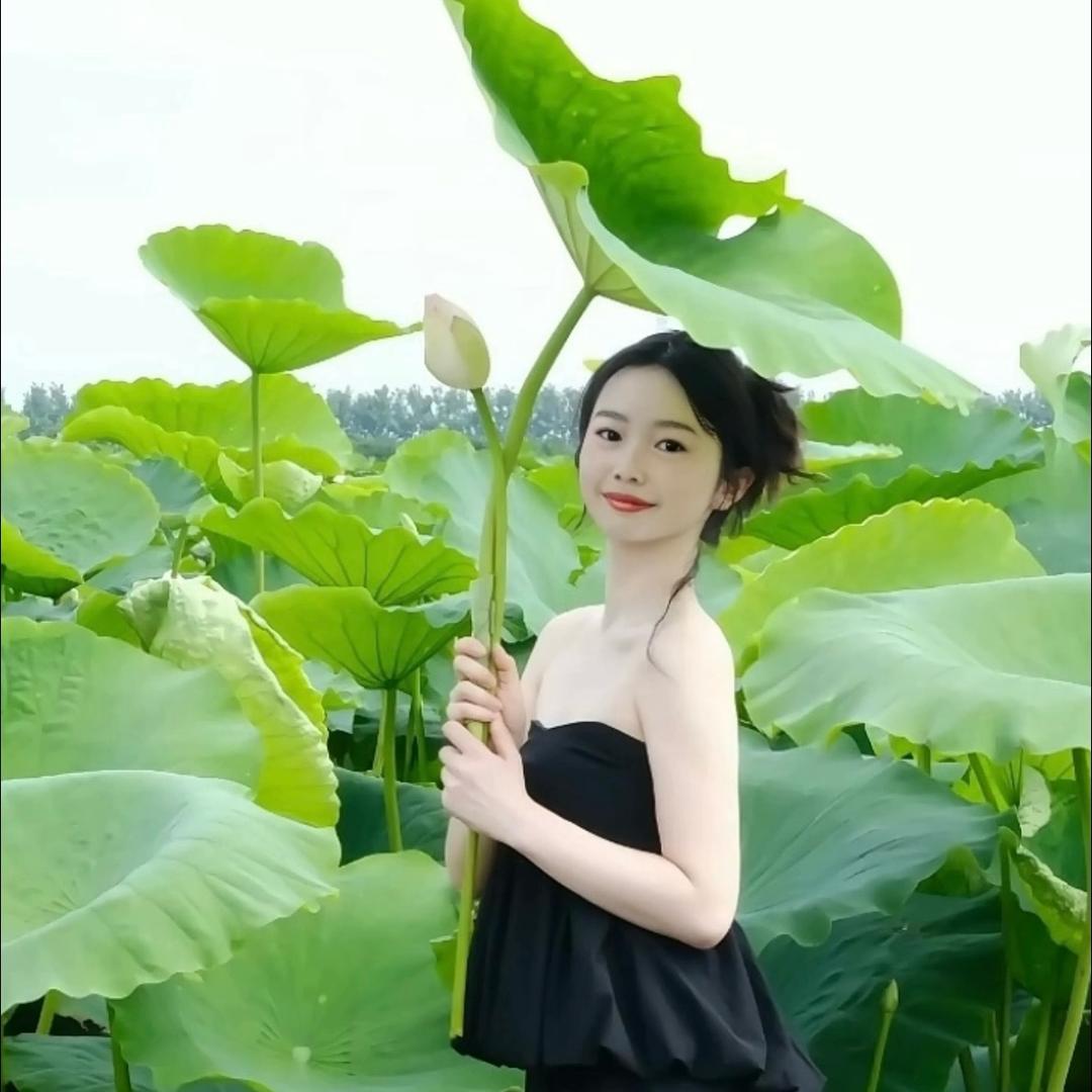 梅花