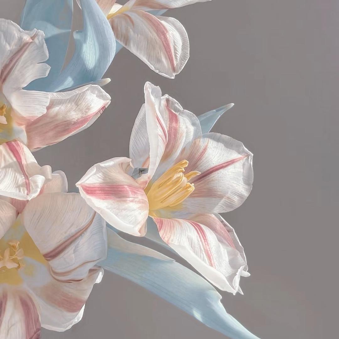 你好之花.💚💛❤️