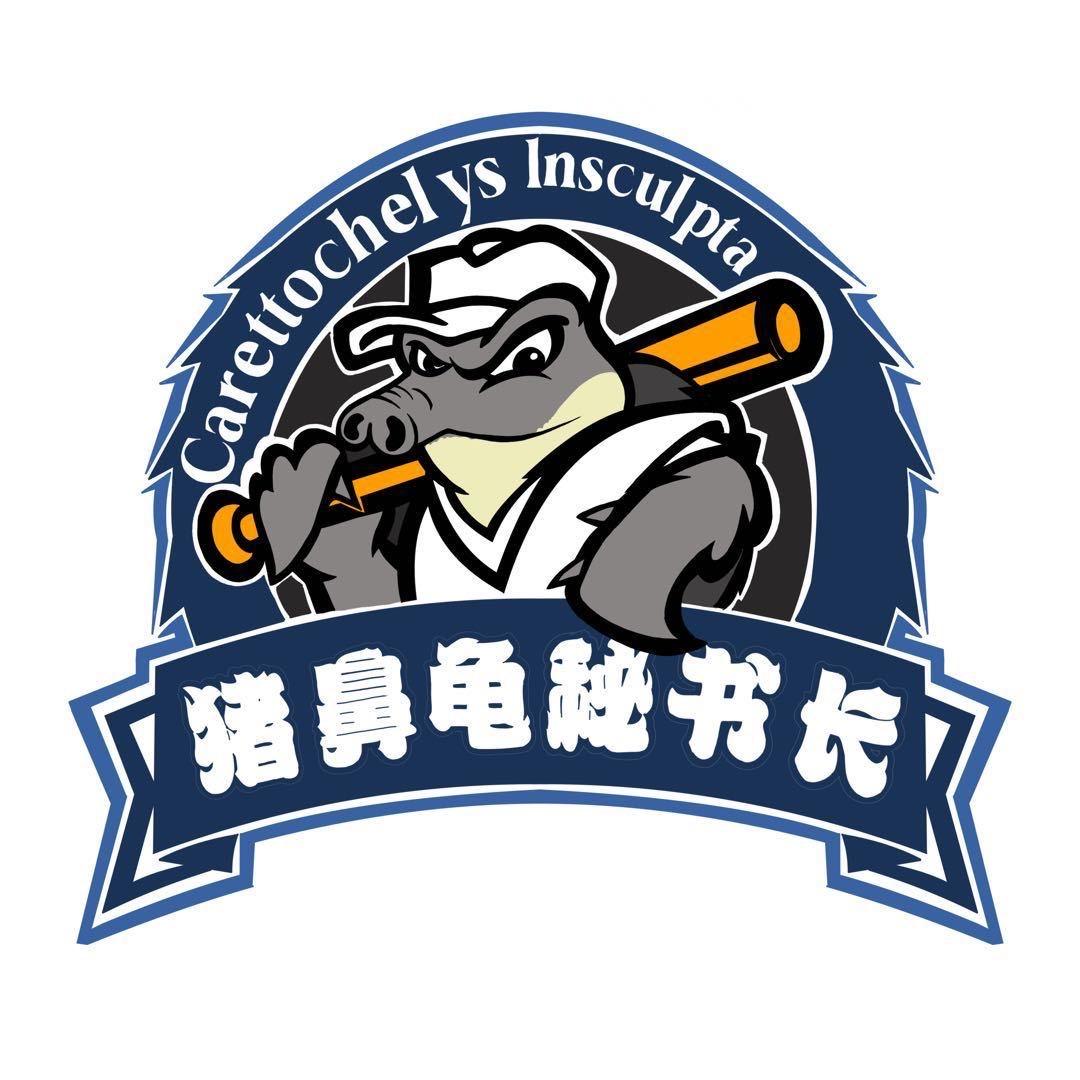 猪鼻龟秘书长(太阳海贼团)