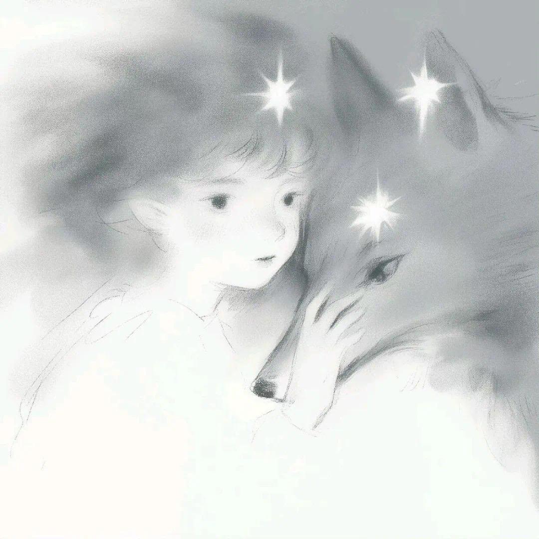 羊肾