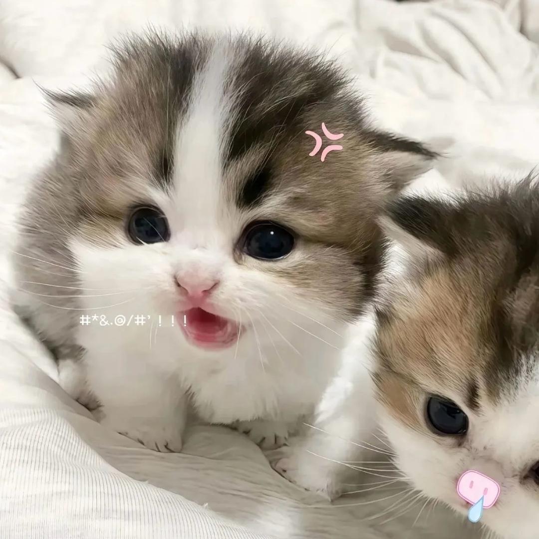 又困ˡᵃ💤
