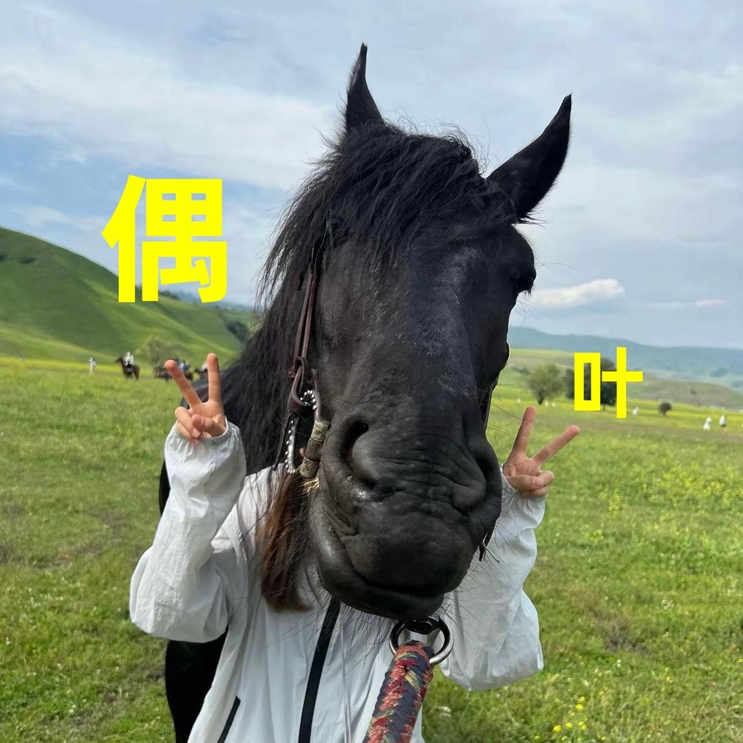 偶叶搞裤