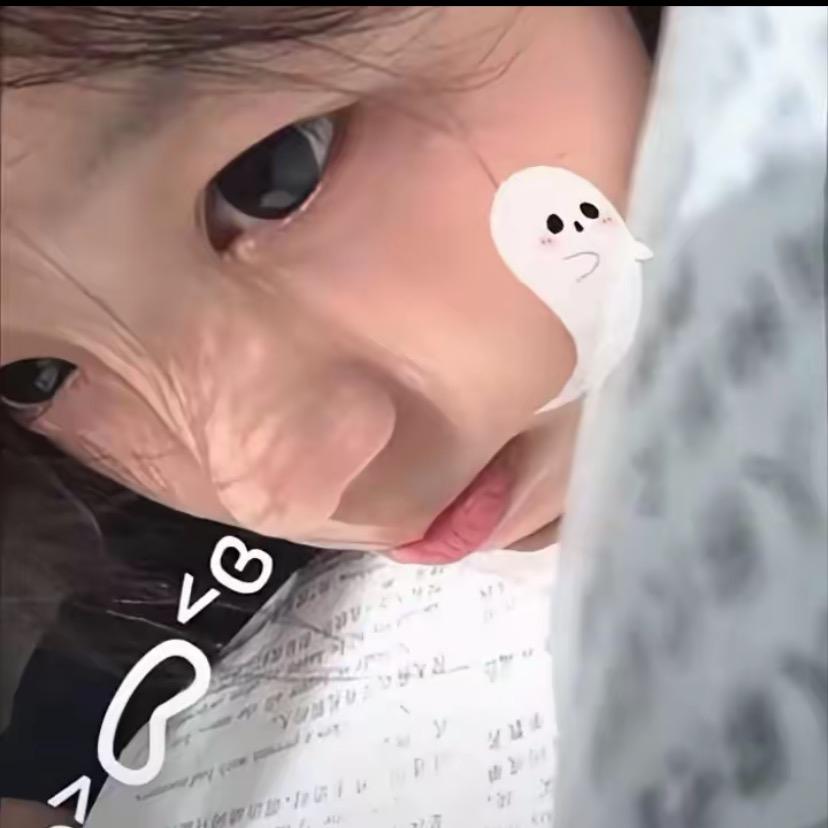 雾主头像