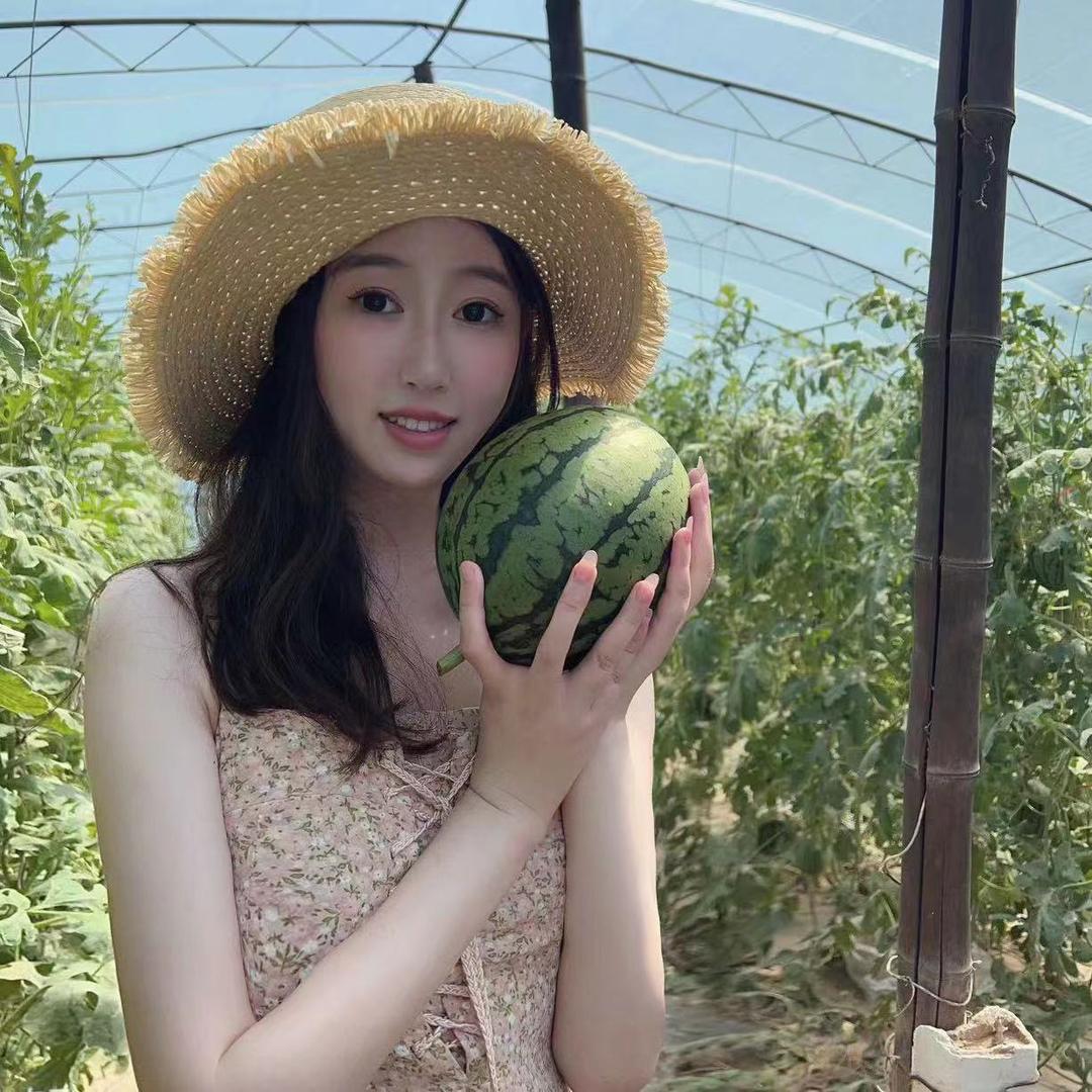 嘉嘉