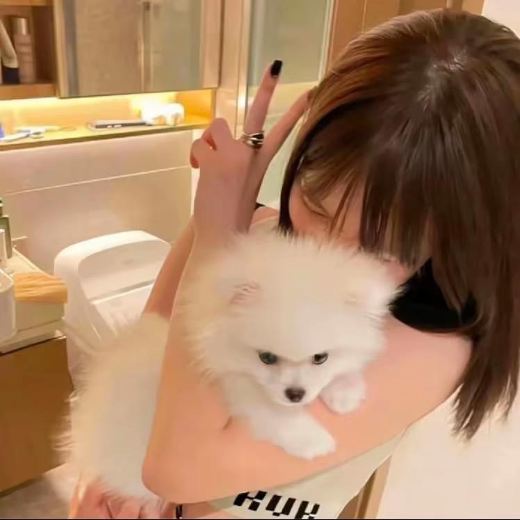 小六子·