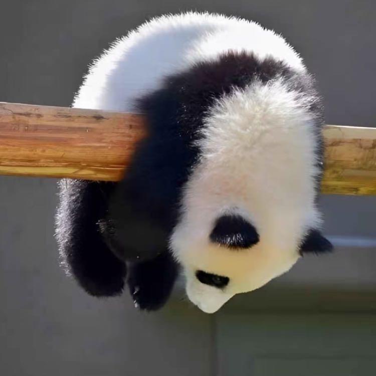 在路上～我的兮