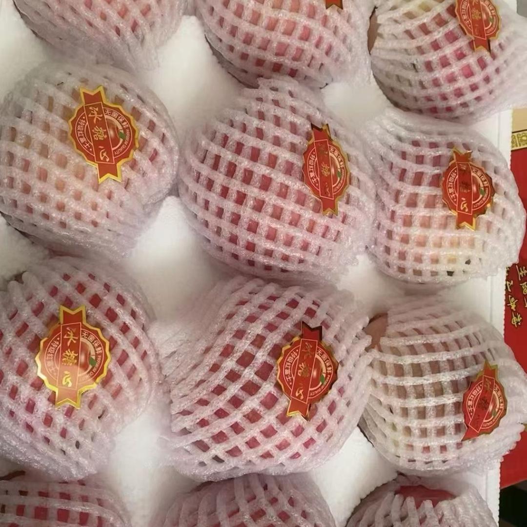 阿佛🎤（尊师小草）