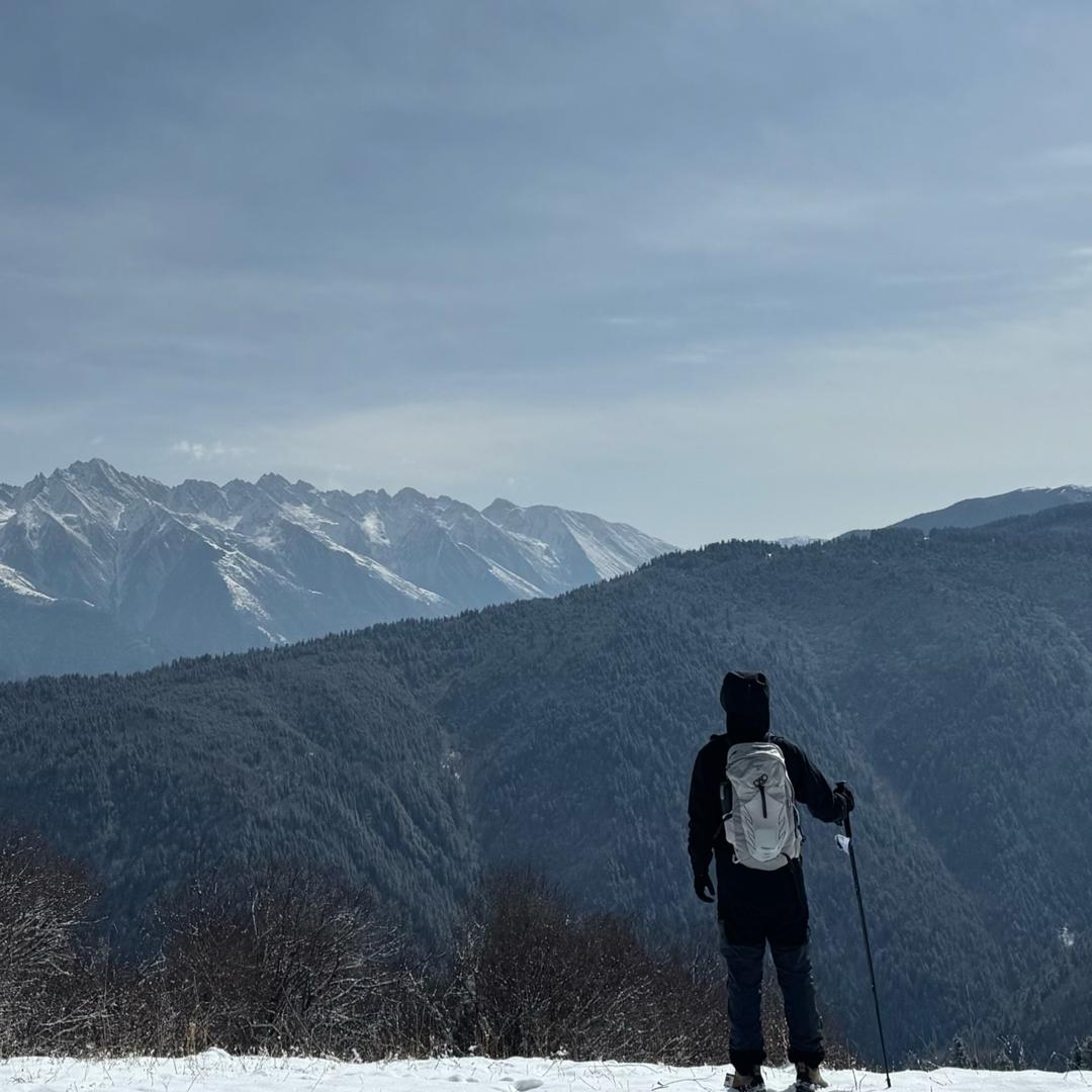 成都小初高规划师-Mr 杨