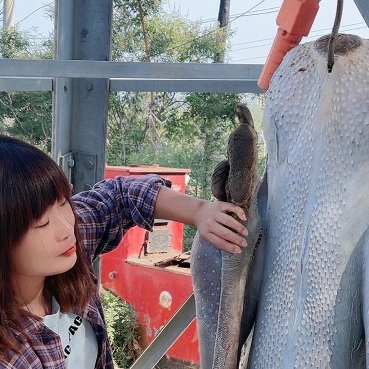 平山娜娜养殖