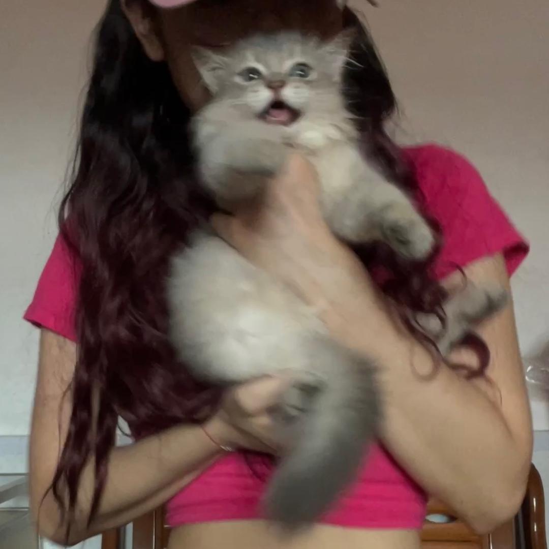 宇宙不爆炸我爆炸💥