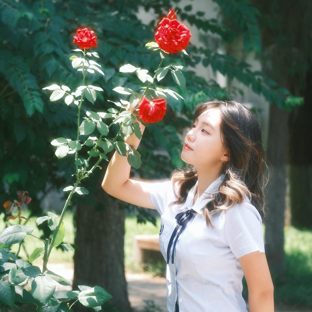 五香芥末丸子🍡