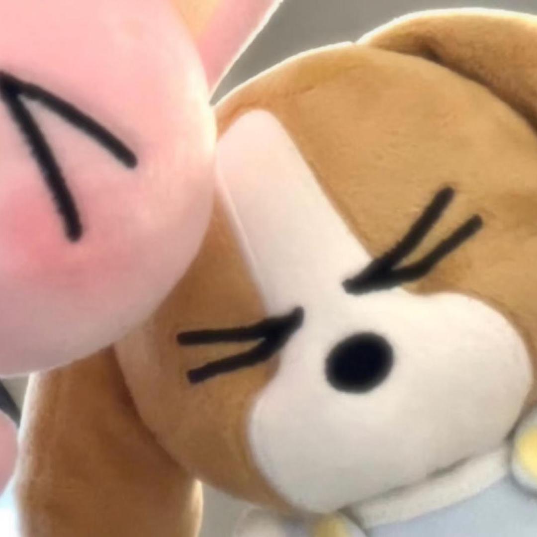 我不是奶龙