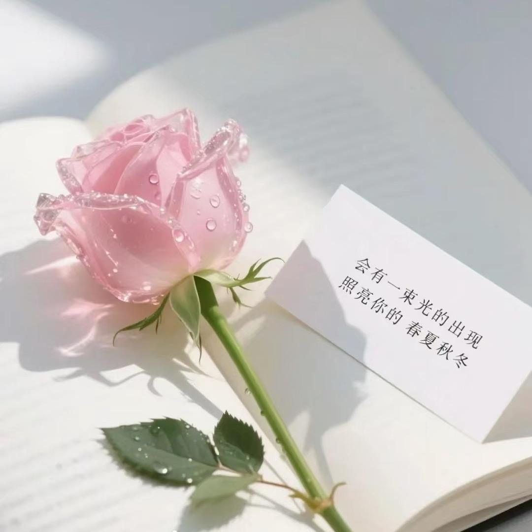 ꕥ᭄忘💞忧ꦿᩚ࿐1818