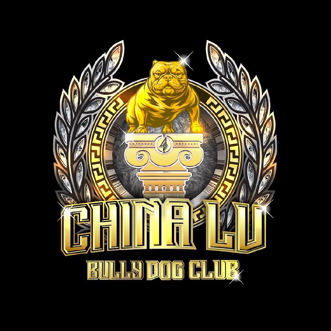 揽汇高端恶霸犬