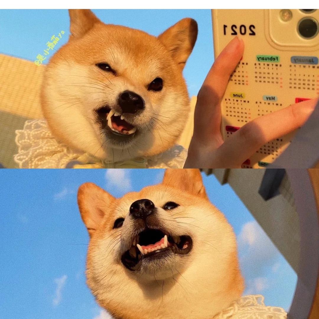 Gigi呼