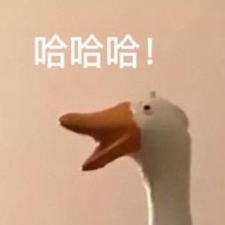 陈总很内向