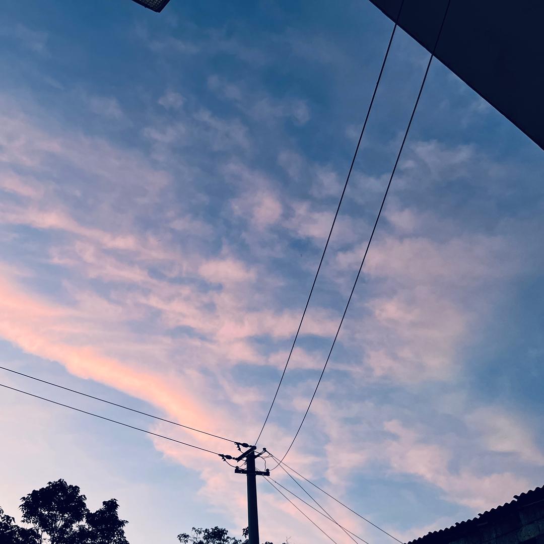 姜清清