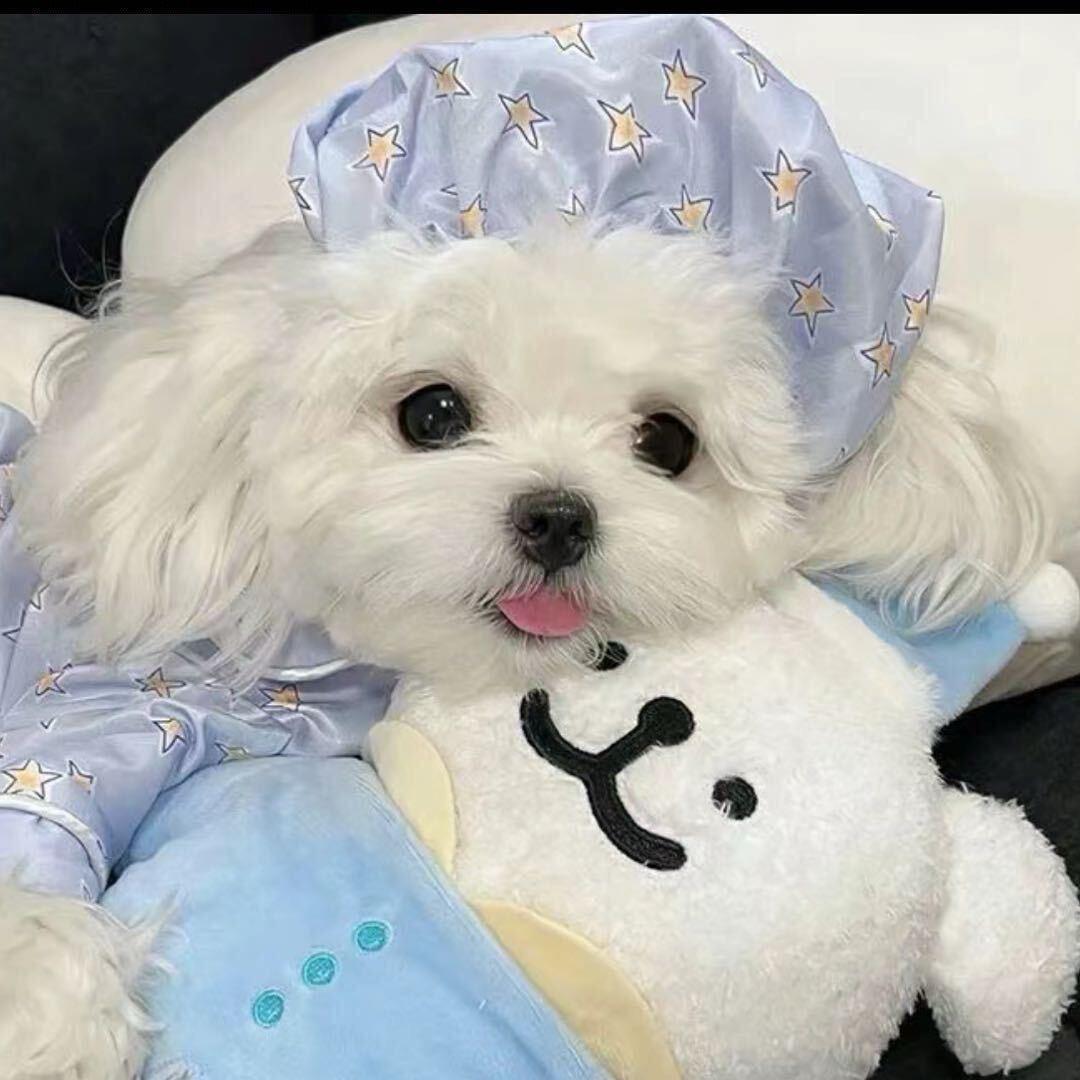 下雪iii了_