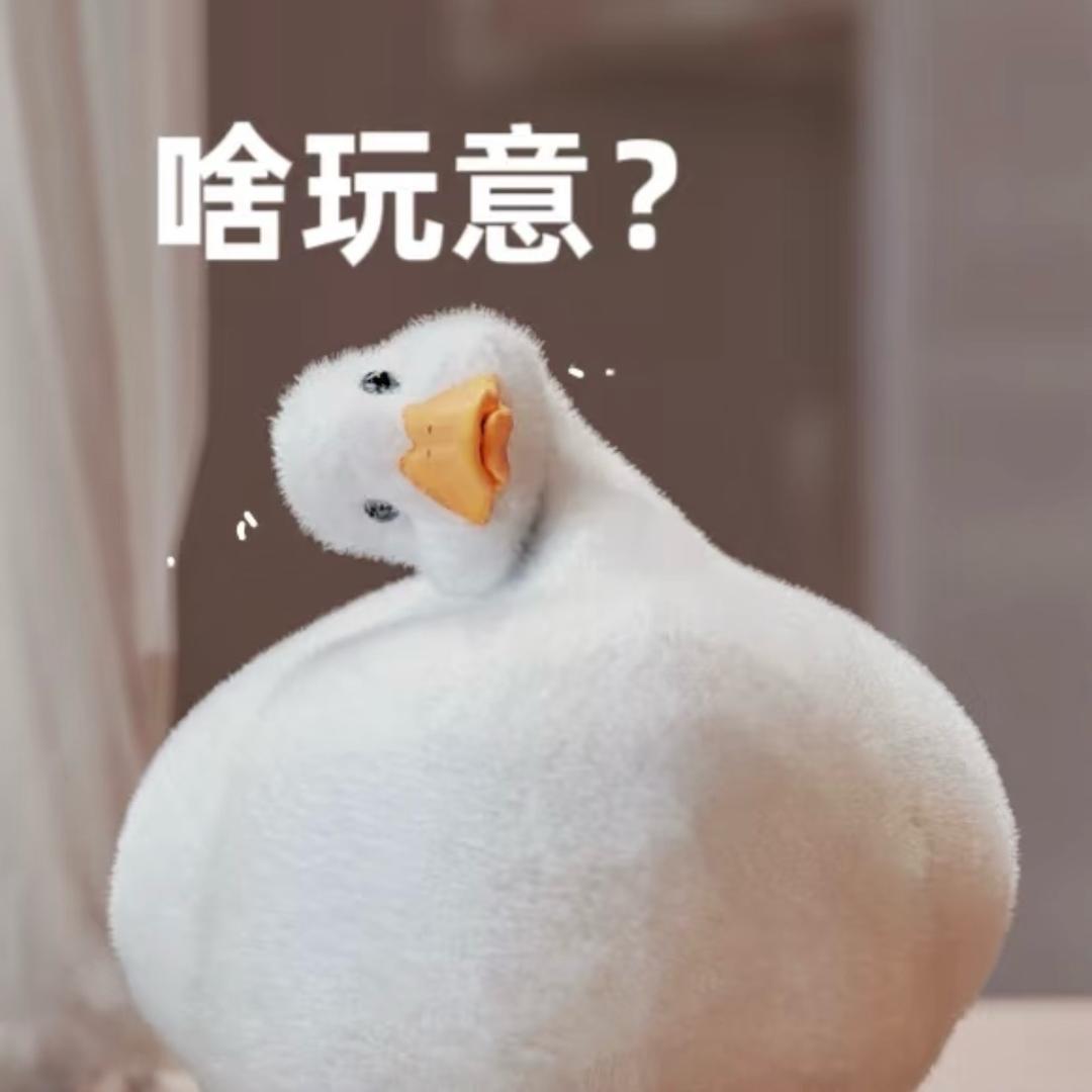 一鸭一鸭哟～
