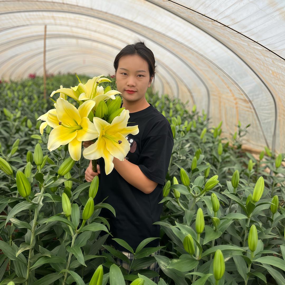 小敏家的花