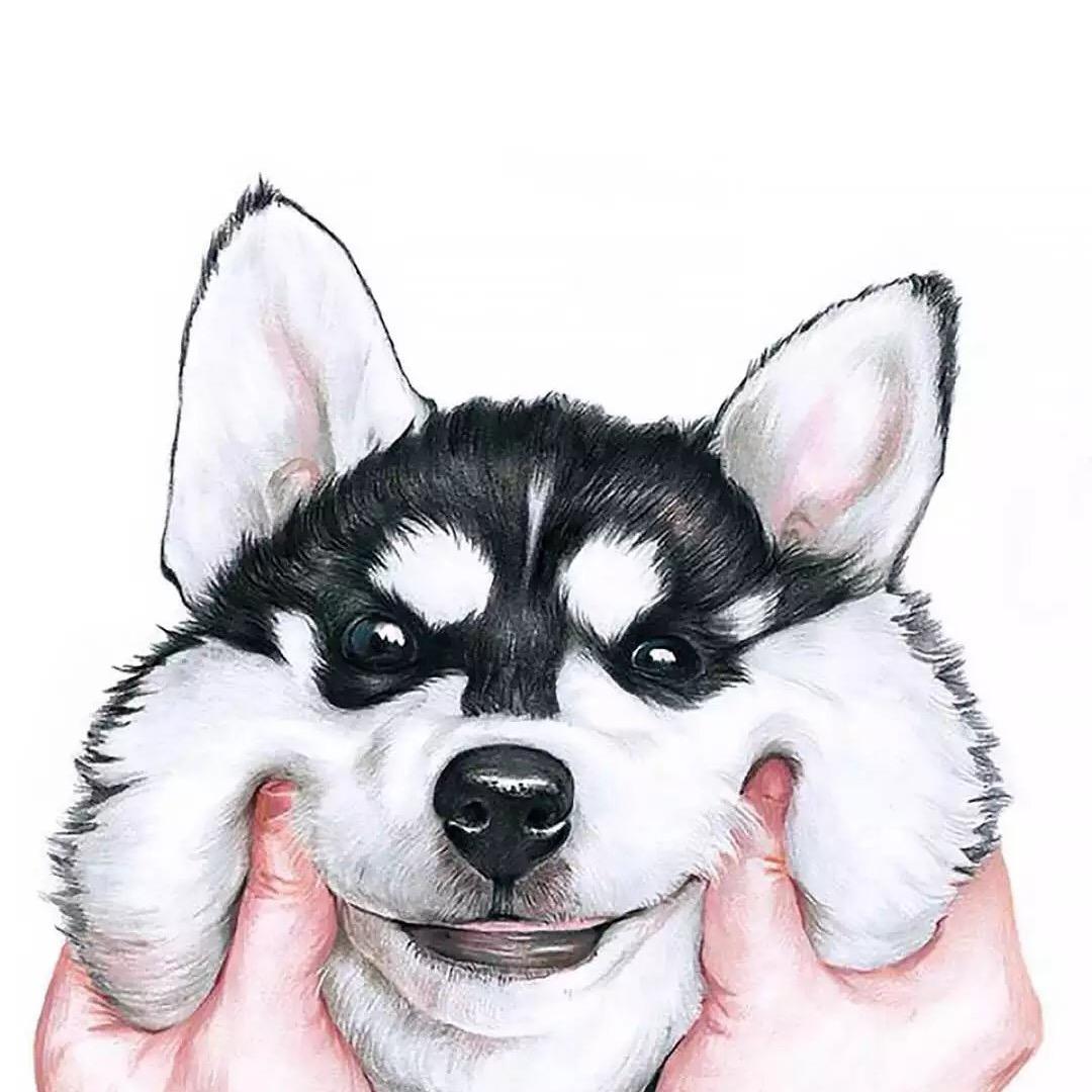 朝白