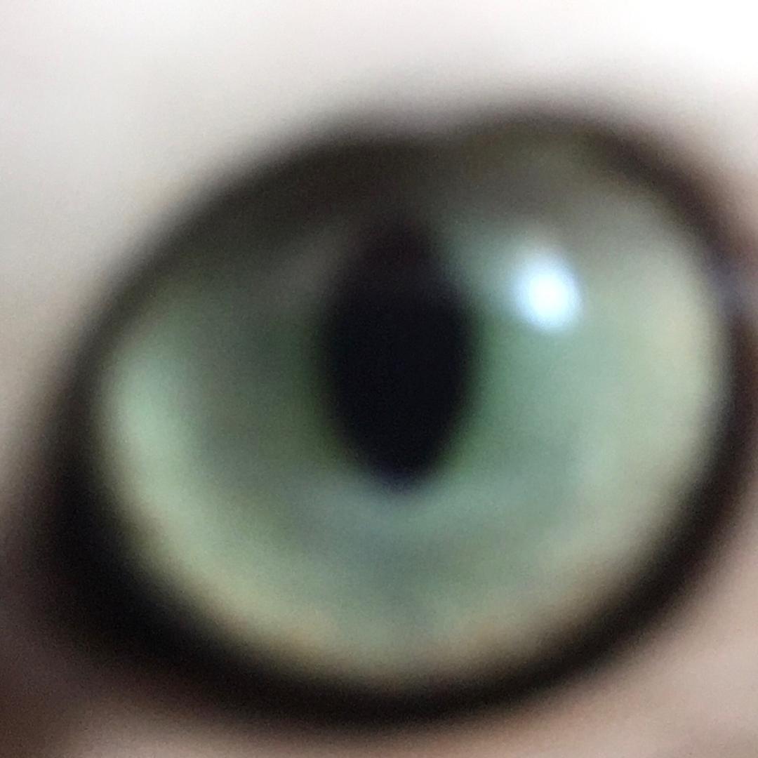 👀