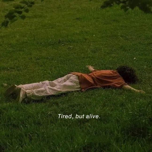 樱桃小纨绔子弟