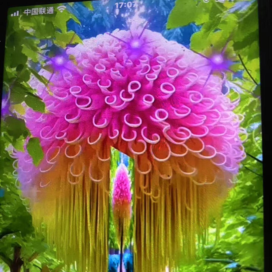 ❣️永恒的爱❣️
