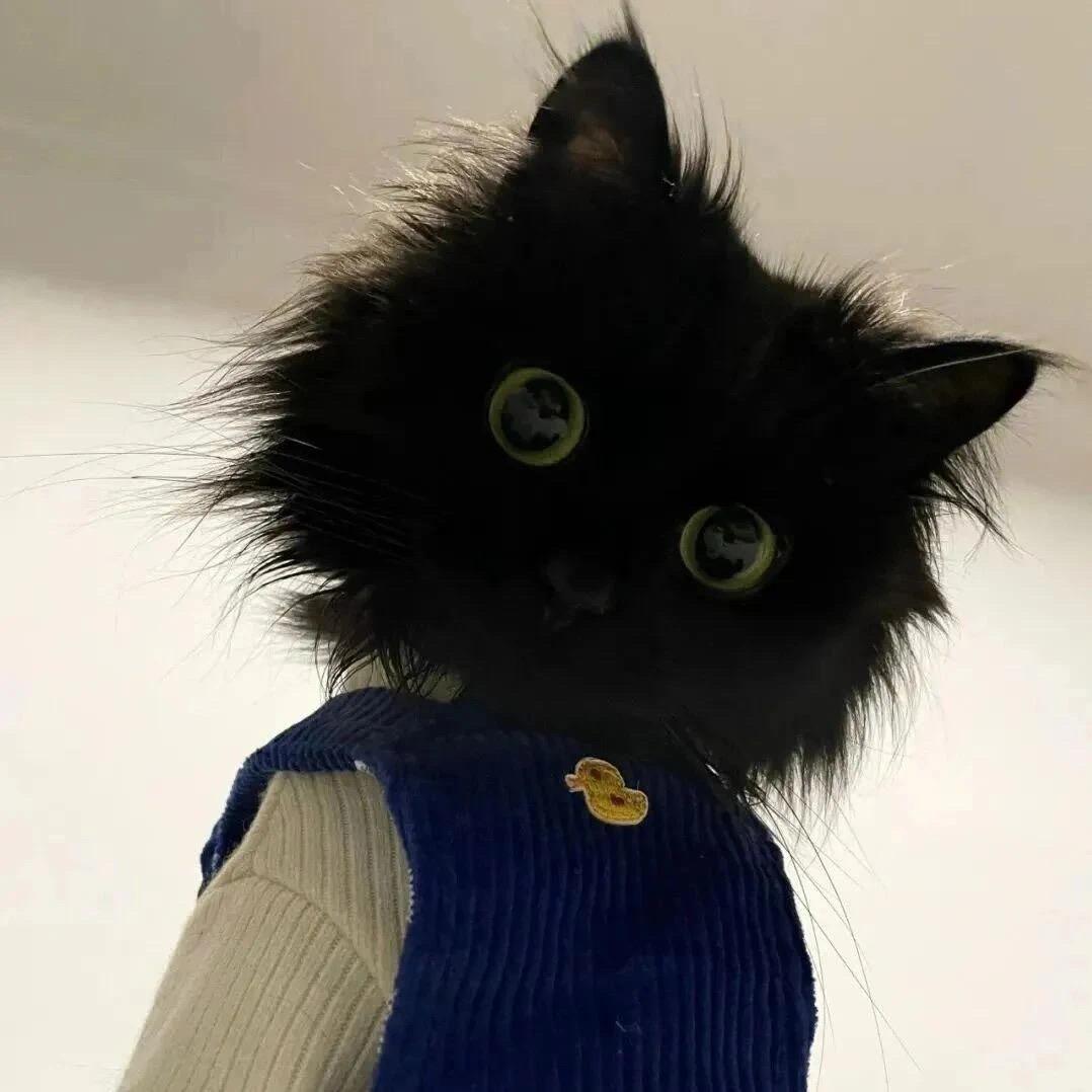 hello