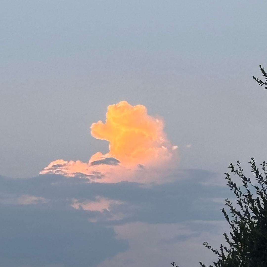 一上班就想睡觉