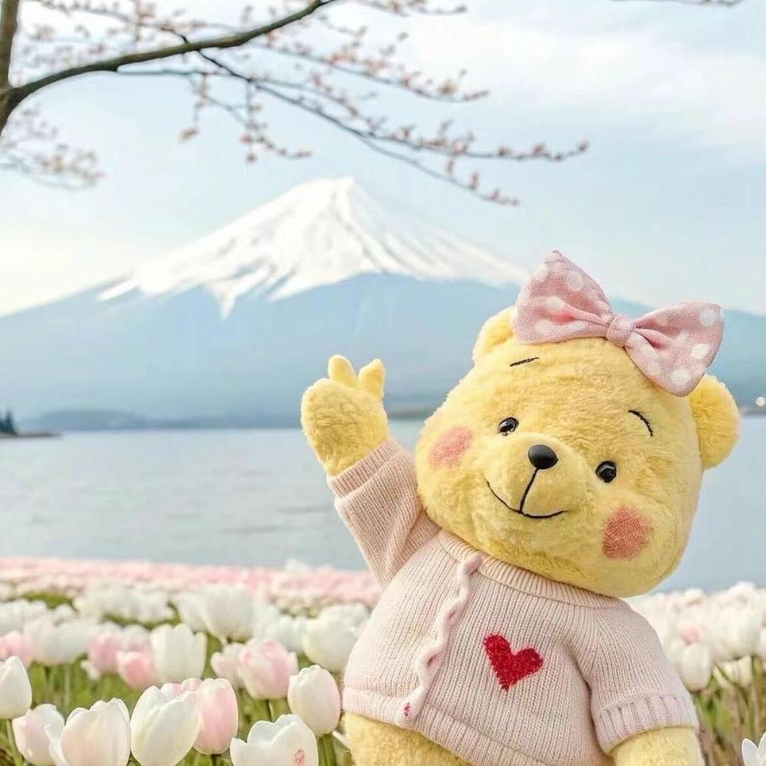 是珠珠呀（首播涨粉版）