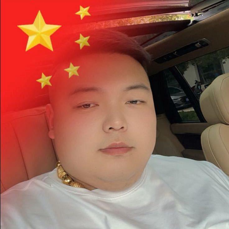 平舆大龙