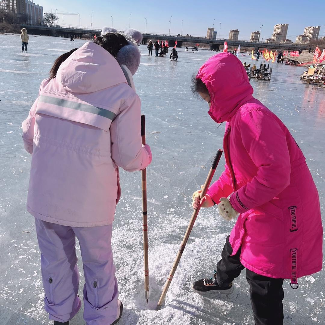 东北带回了一只小猫咪