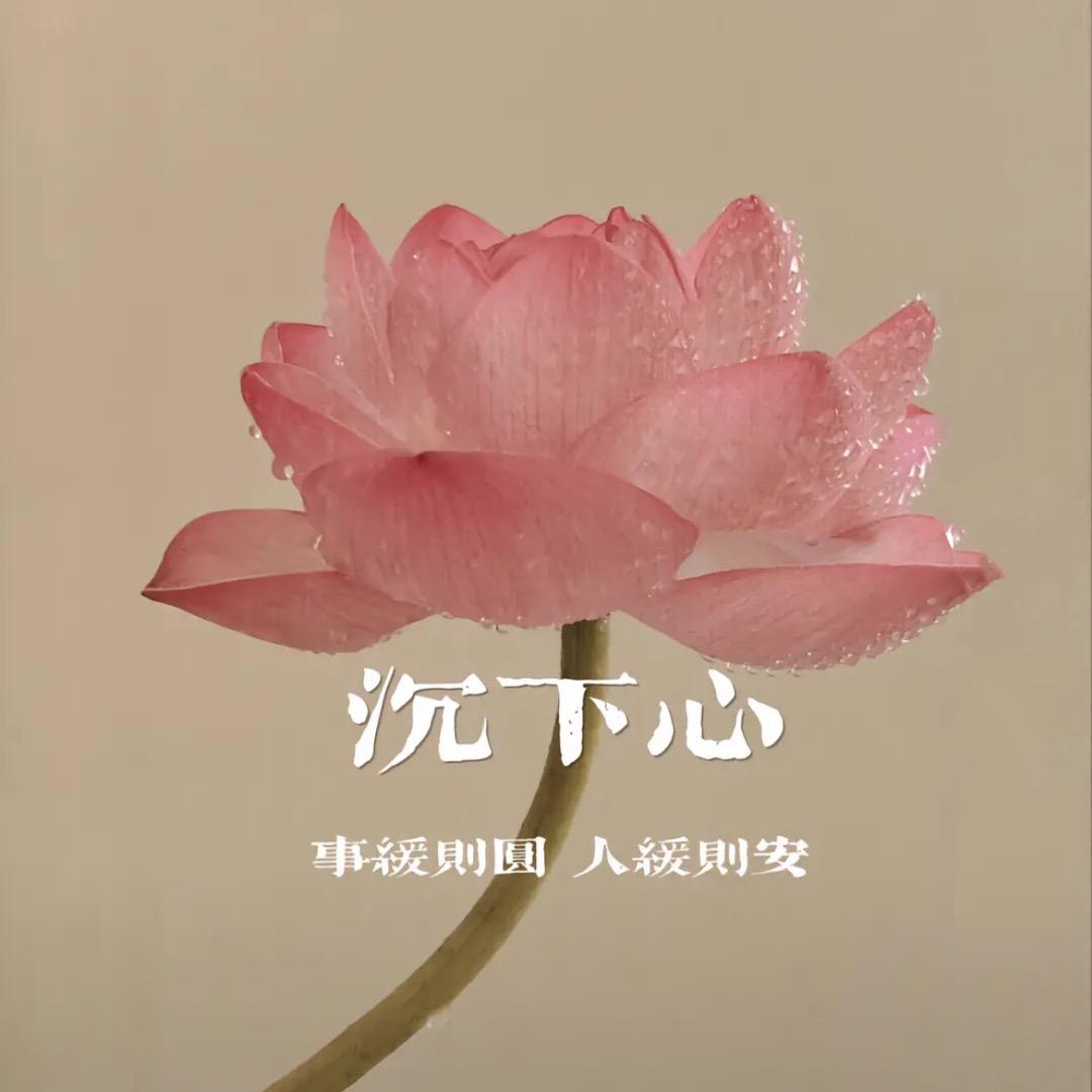 糯米麻麻