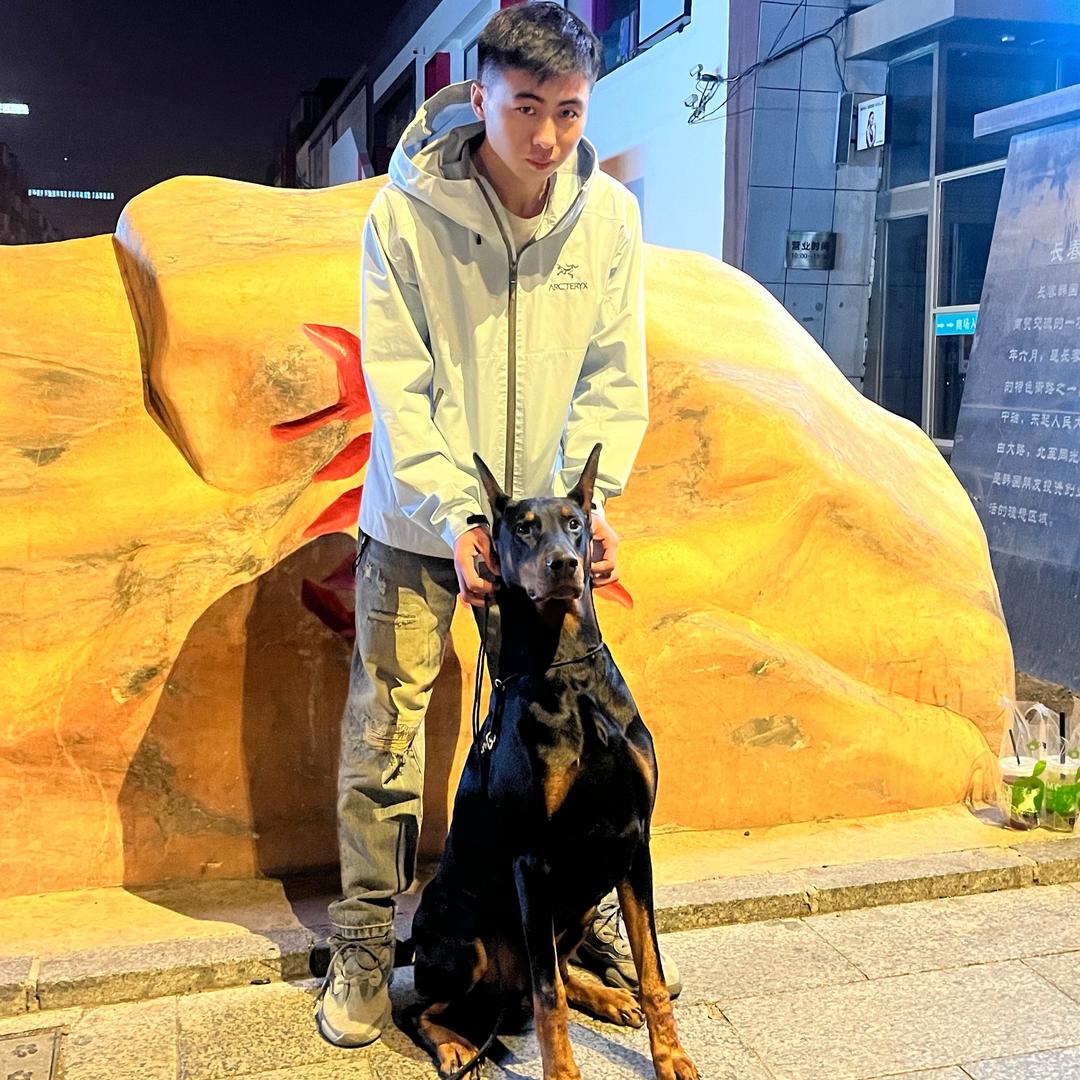 汪汪山训犬 招学徒